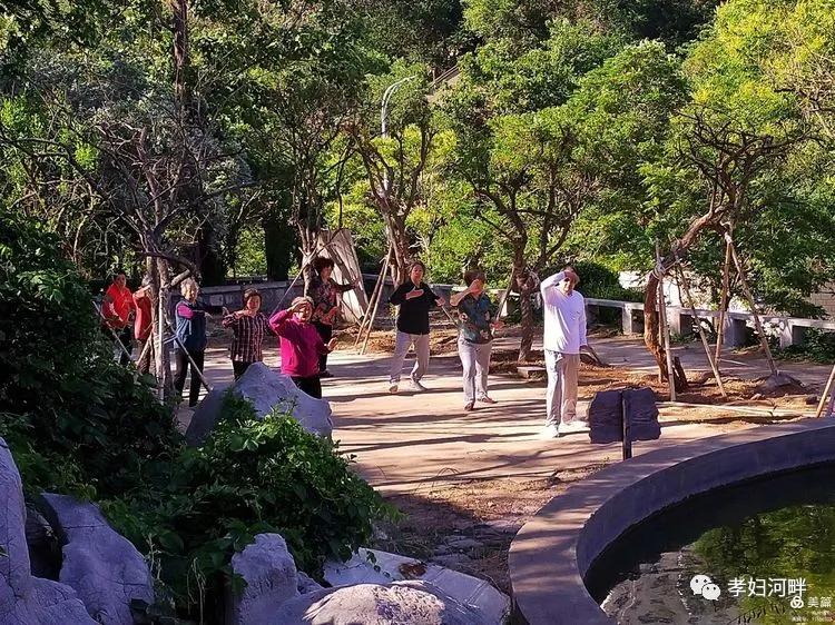 博山初夏风景图片,在博山公园藏着独特的宁静