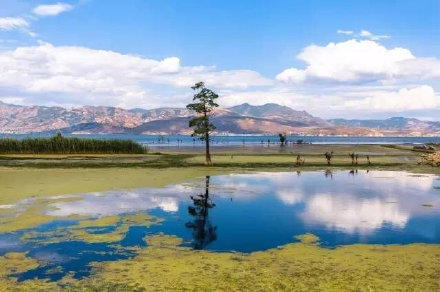 云南5日游旅游团跟团报价表,云南5日游旅游团跟团报价多少钱