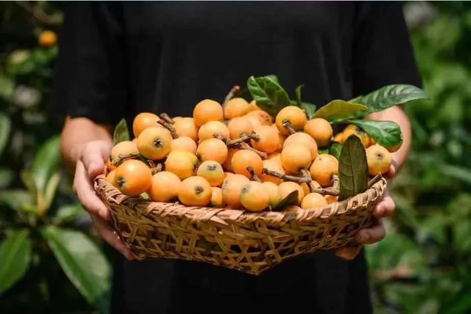 绝美的八大江南古镇你去过几个,江南七大绝美古镇你去过哪几个