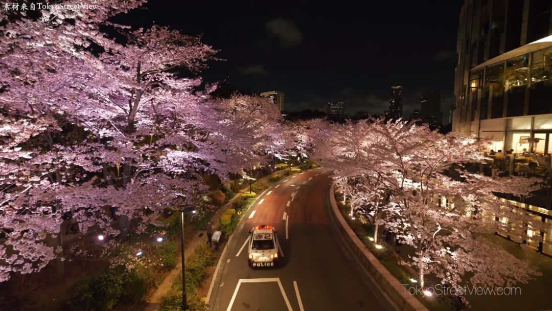 日本旅游详细攻略,日本旅游攻略初次去关西