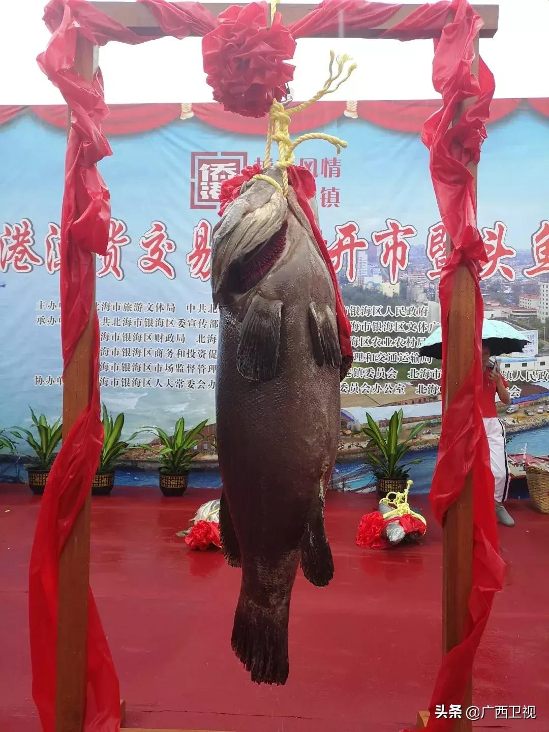 千万别去侨港，怕你玩得太开心不想回家