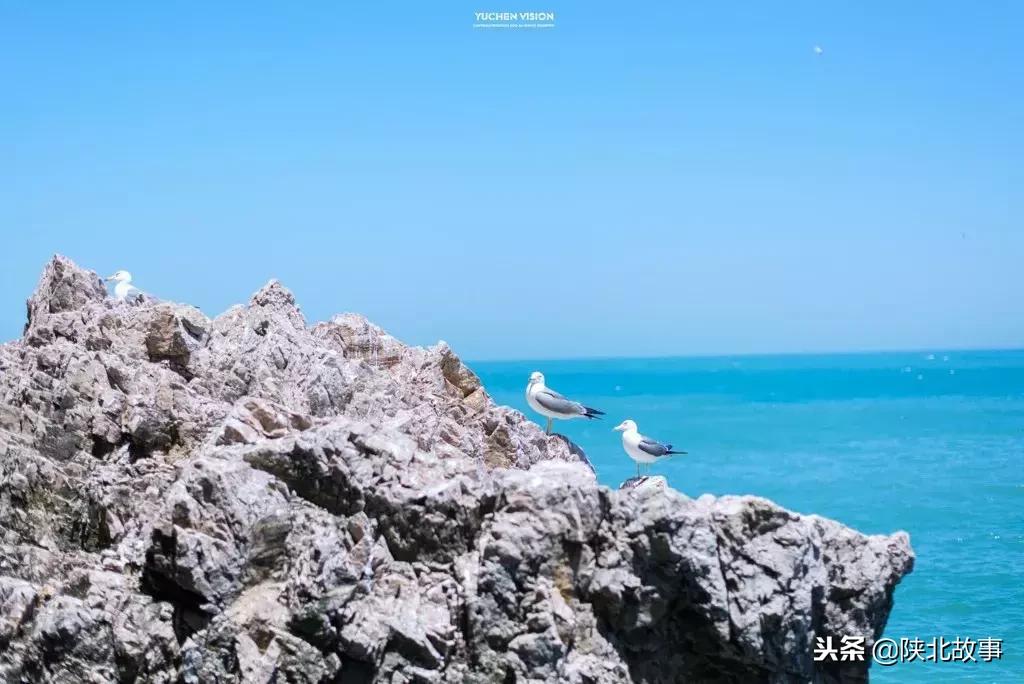 这个最适合冬天来的北方小城，光是海鲜就能让你吃回票价