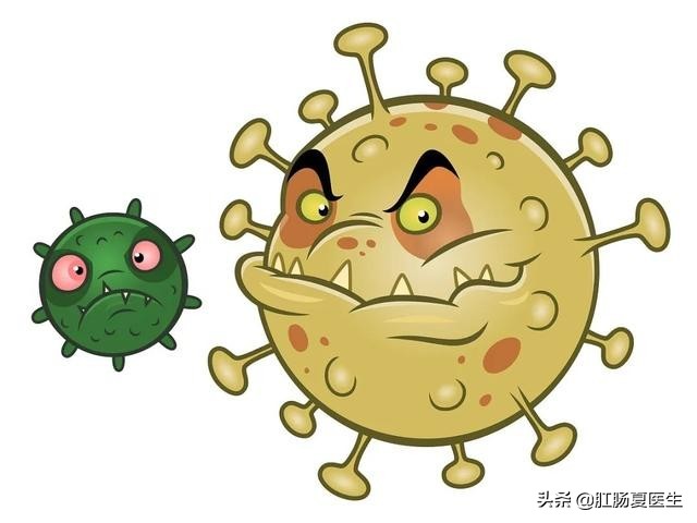 外痔疮有个肉球不痛就是会痒,痔疮不疼不痒属于外痔吗