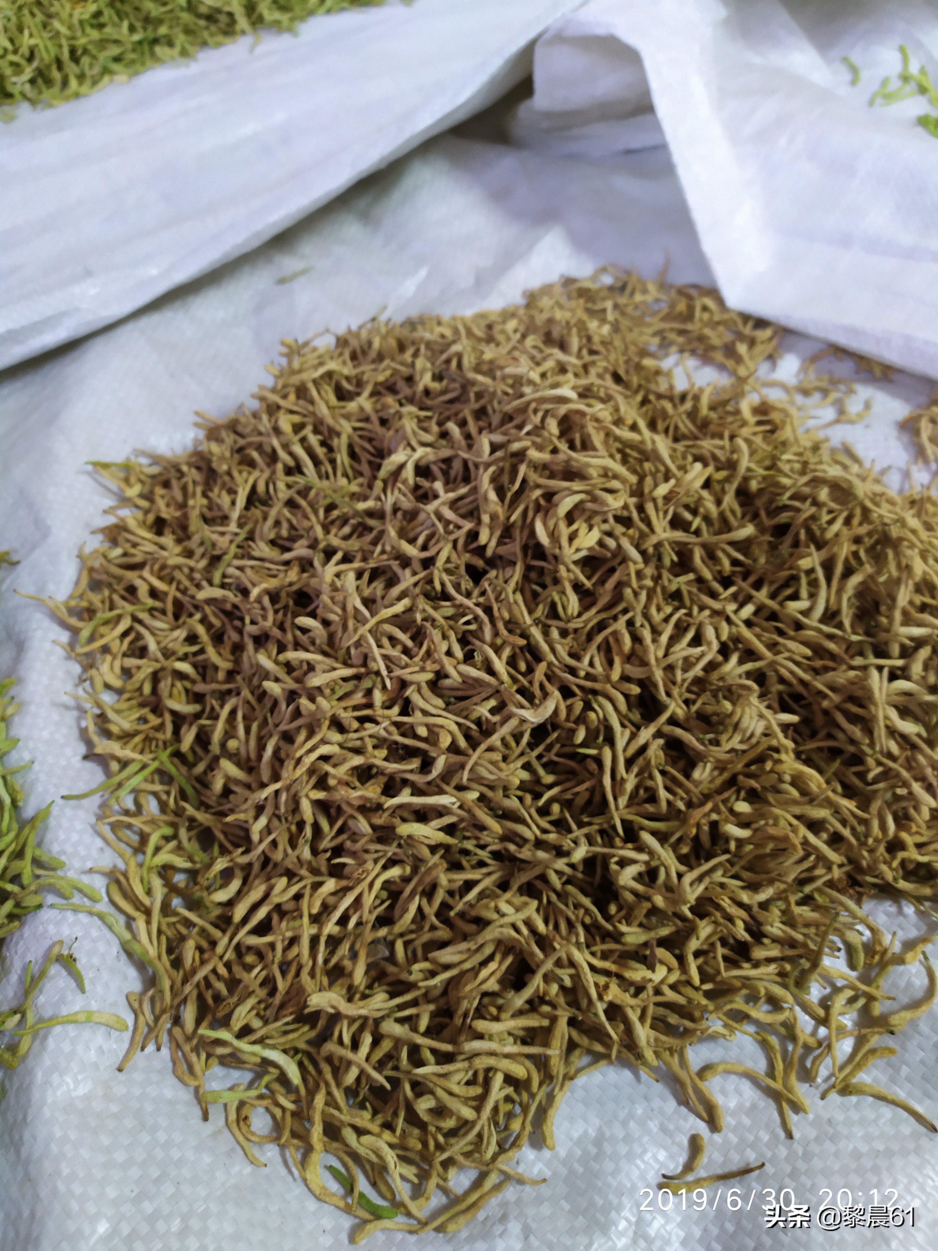 金银花怎么加工才能保住质量,自制金银花全过程