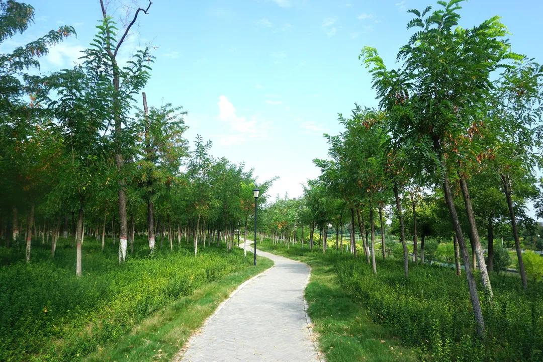 平顶山市新城区值得买的房子,平顶山新城区哪个小区值得买