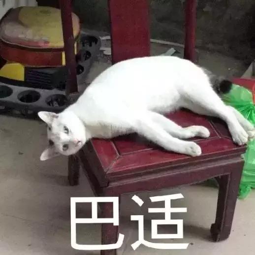 混吃等死、一夜暴富…现实给不了希望只能靠表情包续命