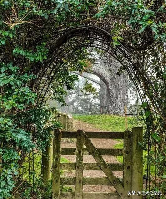 新西兰那么闲为什么是发达国家,新西兰这个国家靠什么发展的经济