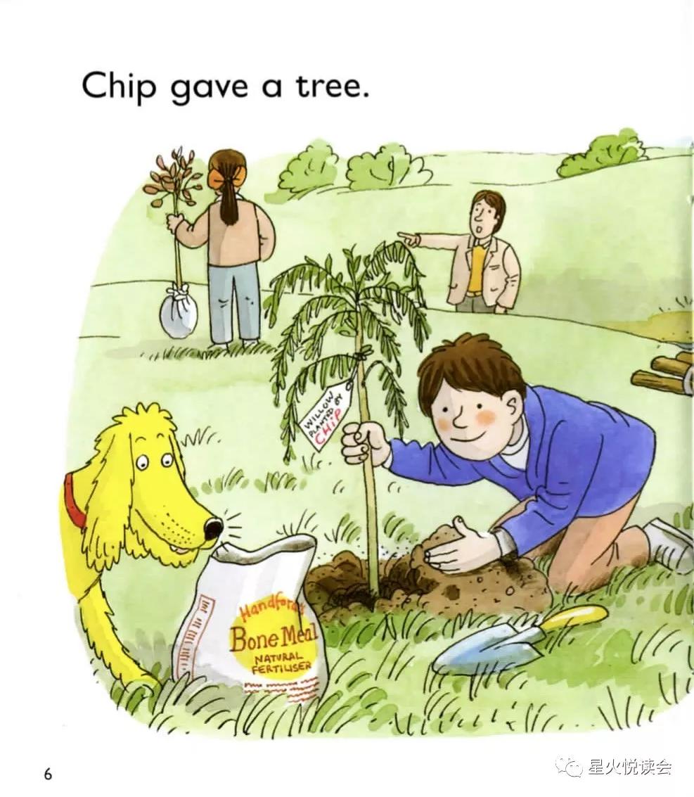 newtrees牛津英语绘本,牛津树第二级英文绘本