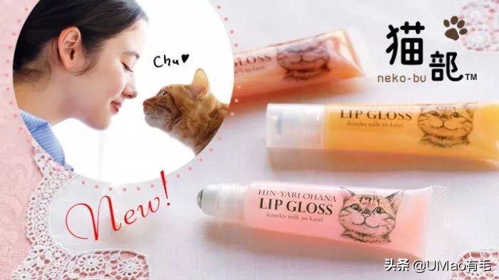 铲屎官别怕猫咪来保护你,猫咪对铲屎官的占有欲