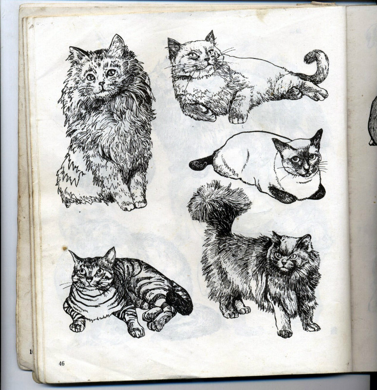 一百幅动物素描,近百幅动物画