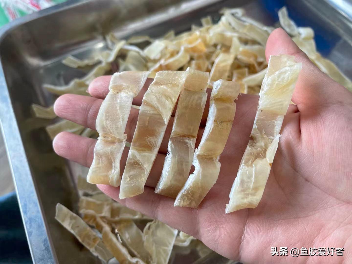 哪些鱼胶新手不建议选,第一次买鱼胶如何不被坑