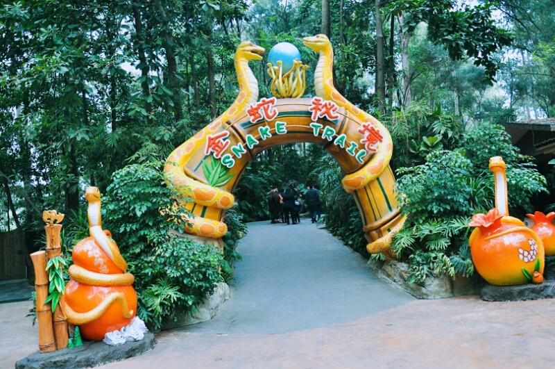 广州旅游攻略广州长隆野生动物园,广东游玩攻略广州长隆野生动物园