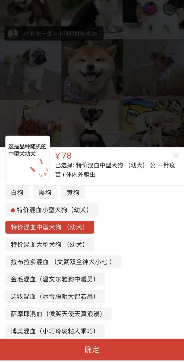 “宠物盲盒”再次隐秘上架：血染的快递，是宠爱还是*杀虐**