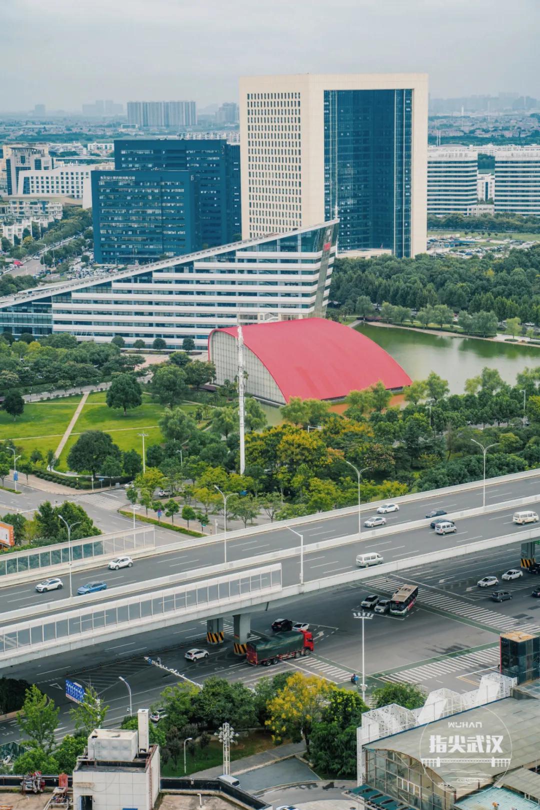 疫情过后带你看世界,疫情过后让我们重新认识一下