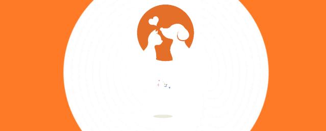 犬瘟狗口吐白沫,狗狗犬瘟初期抽搐视频