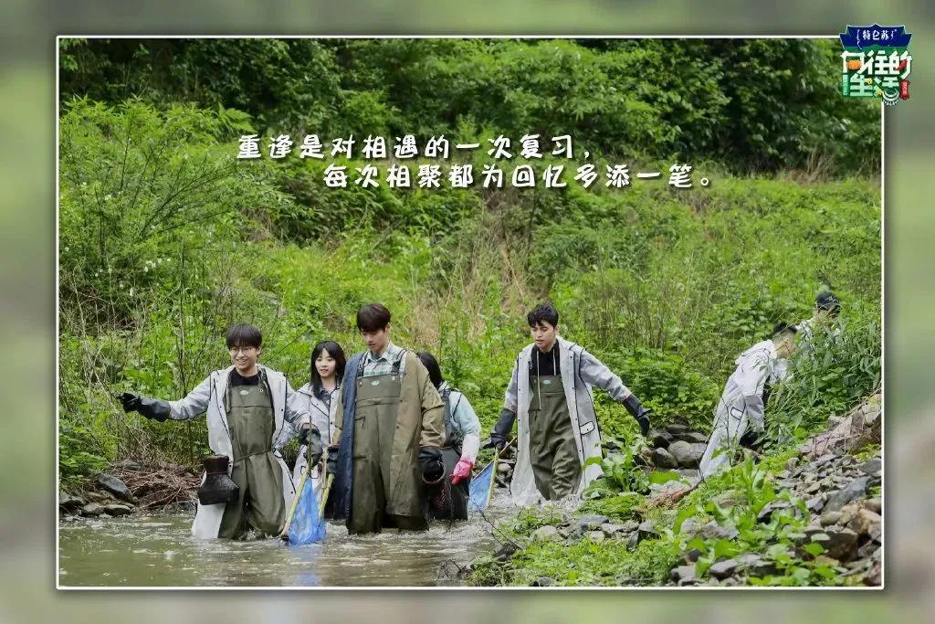 向往的生活1-6季文案,向往的生活一屋两人三餐四季文案