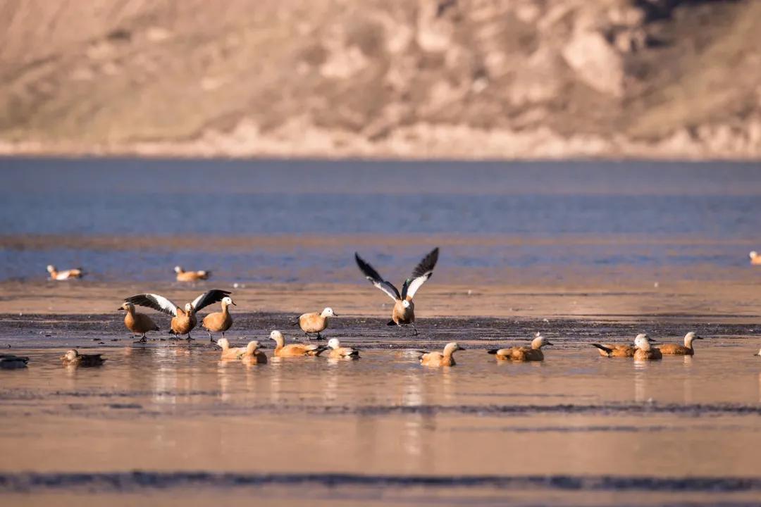 看图写话风景画,看图说话的镜头