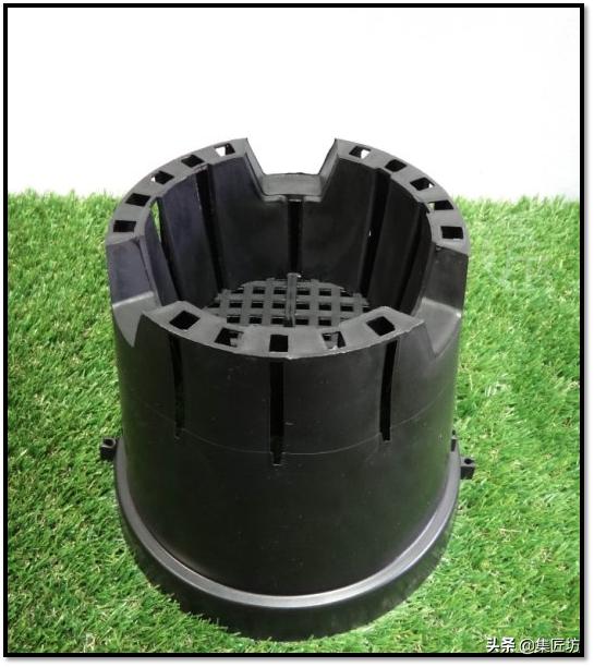 幼苗不好养?盆器很关键!以松类盆景为例,浅谈盆景幼苗养护技巧