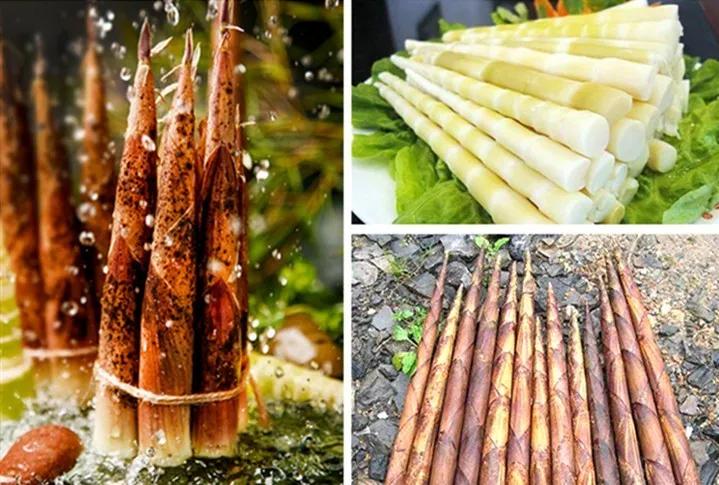 遵义方竹丰收节,2023年中国农民丰收节走进蓬安