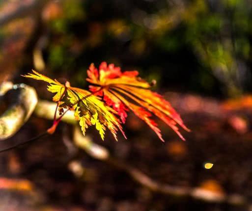 一个人好运来临的八个征兆,一旦遇到这3个暗示证明好运将至