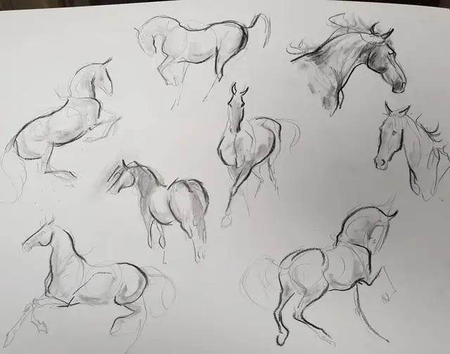 马怎么画简单图画,马怎么画更真实