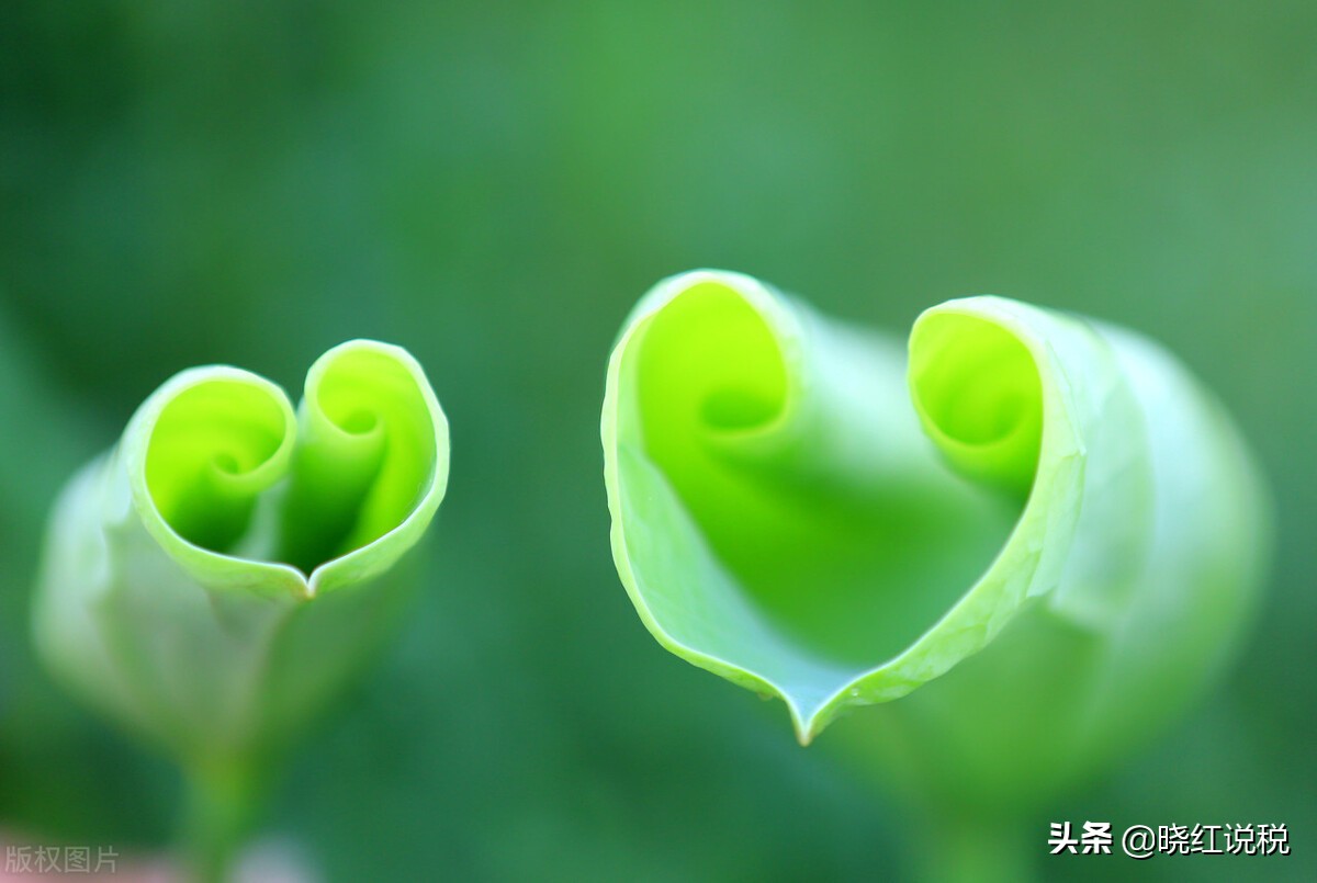 固定资产折旧方法预计净残值率,固定资产预计净残值和折旧方法