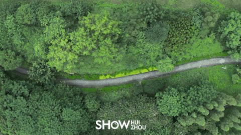 惠州江北夜景最漂亮的地方,惠州江北好去处