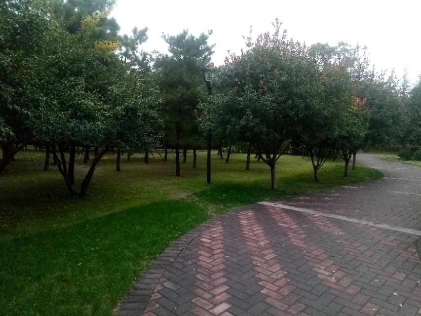 如何对付不停的骚扰电话,应对骚扰电话的正确方式