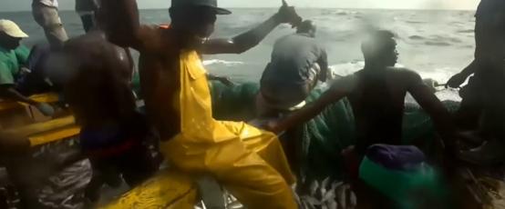 非洲人的捕鱼绝技，一天能捕7吨鱼，出海全凭肉眼找鱼