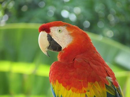 常见的图像处理方法有几种,简单的图像处理知识