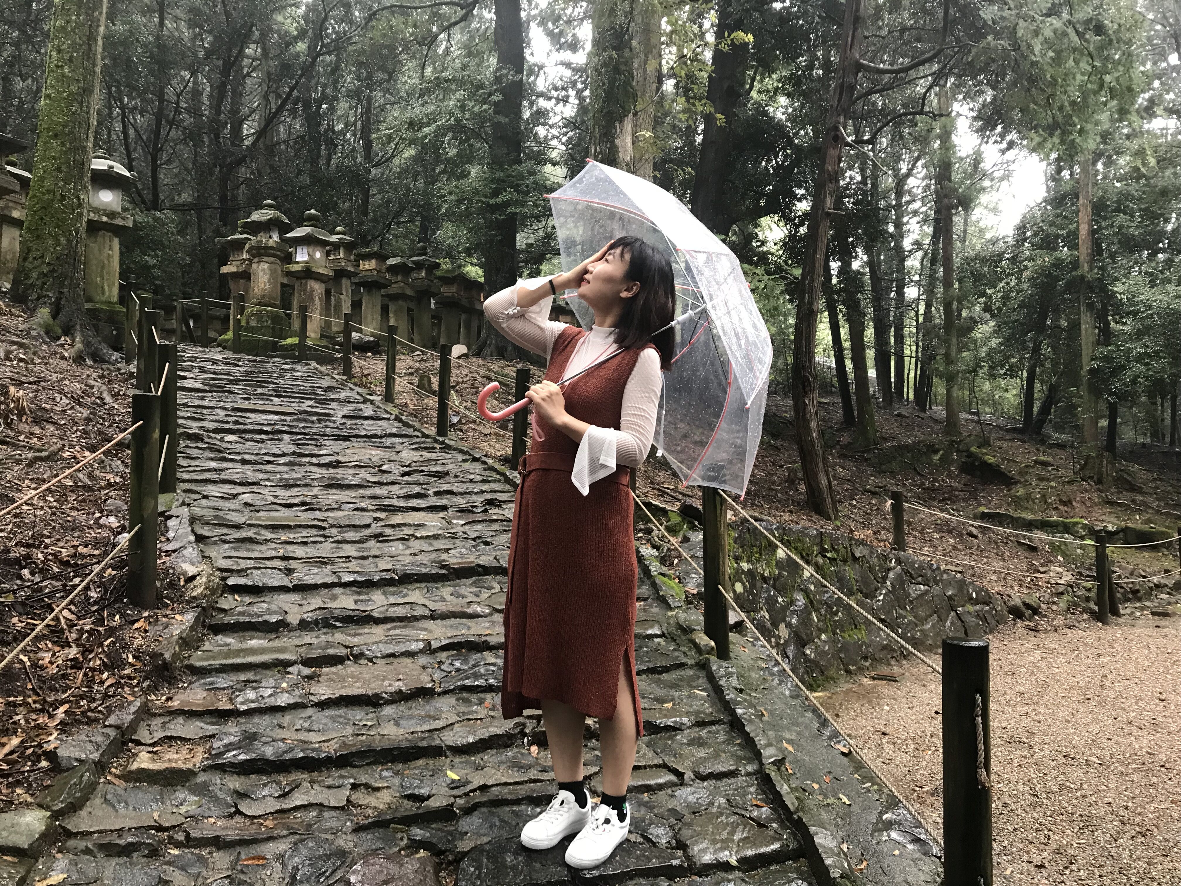 日本本州七日游,日本本州游记