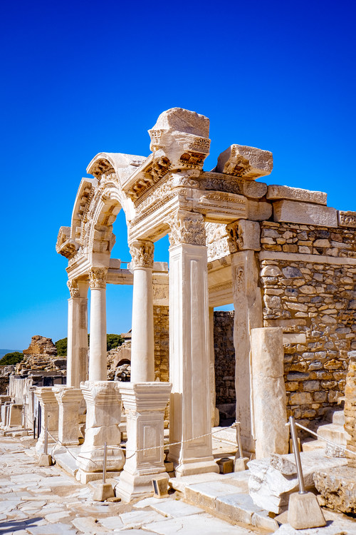 带着富士去富士山,带着富士x-s10到森林里露营放松