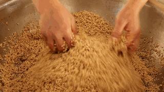 包粽子教程一步一步来,包粽子的详细教程来啦