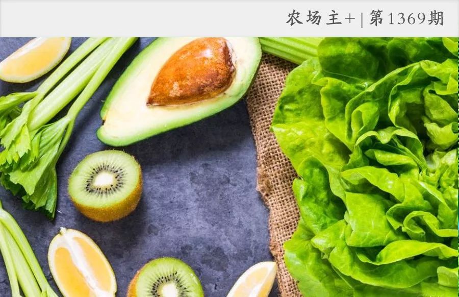 牛油果真的是骗局吗,牛油果背后竟然是个骗局