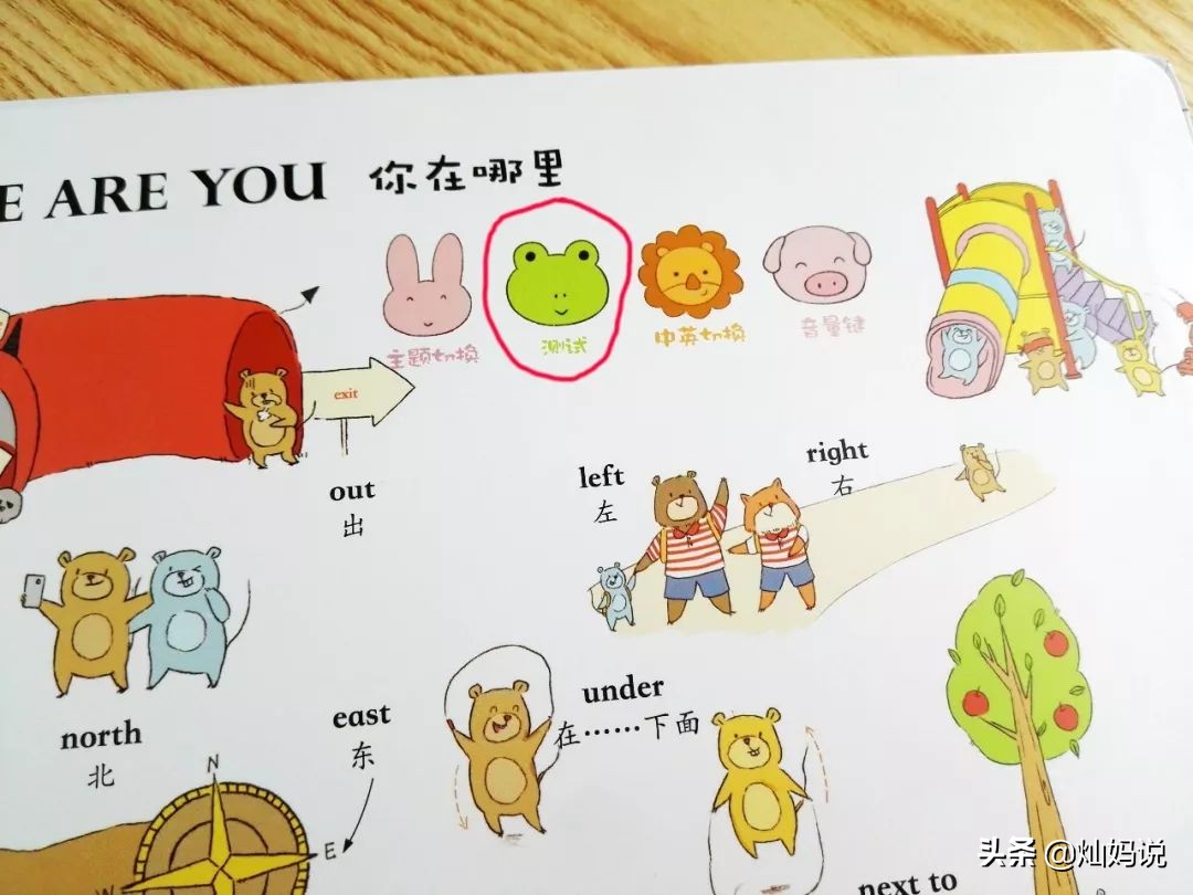 手指点读英语发声书推荐,灿妈书单