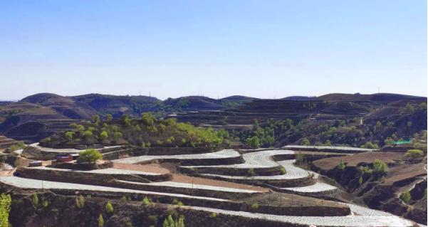 五里为民服务中心,五里镇便民服务站