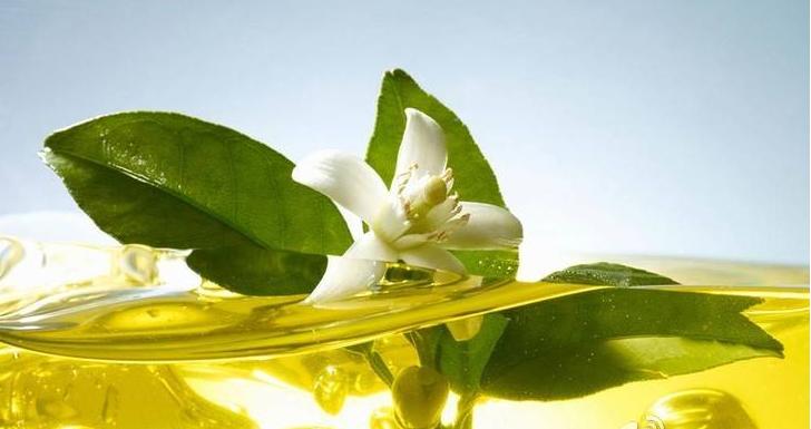 塑身丰胸精油有用吗,丰胸紧致的5大精油配方