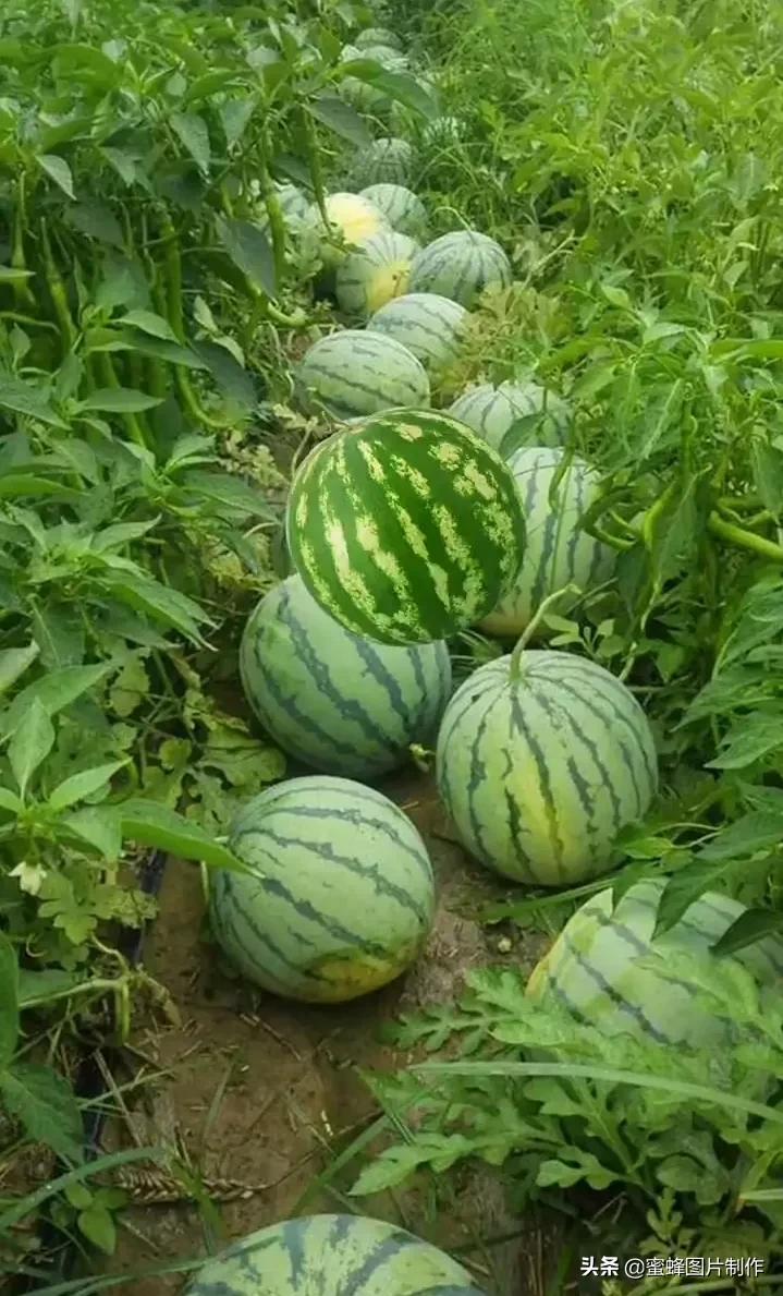 大自然山水美景壁纸全屏,美景壁纸4k全屏