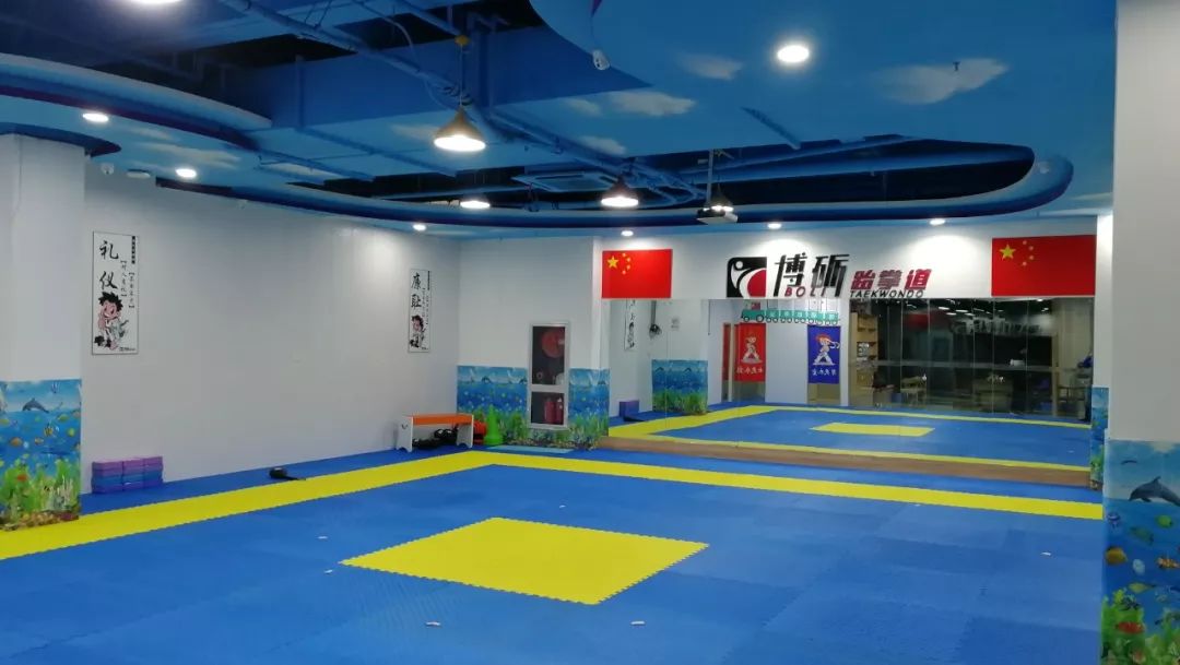 适合跆拳道的卷垫,跆拳道垫的玩法