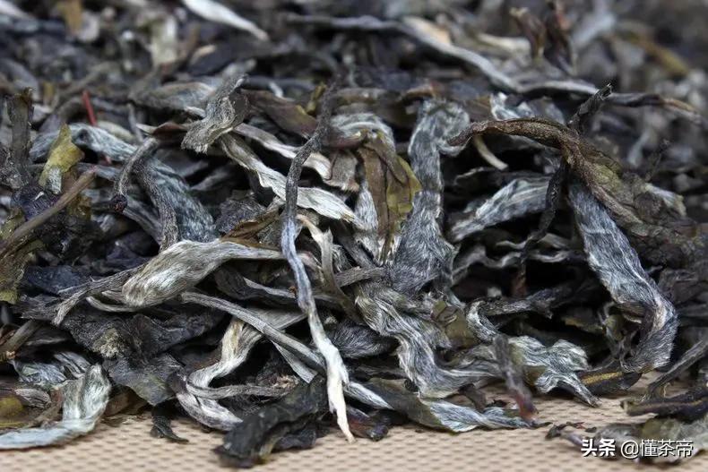 云南古树茶有名的有哪几种,云南十大古树茶是哪些