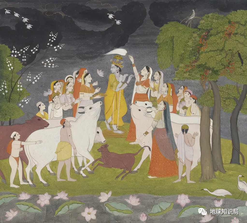 印度不让吃鸡肉吗,印度是不吃牛肉的国家吗