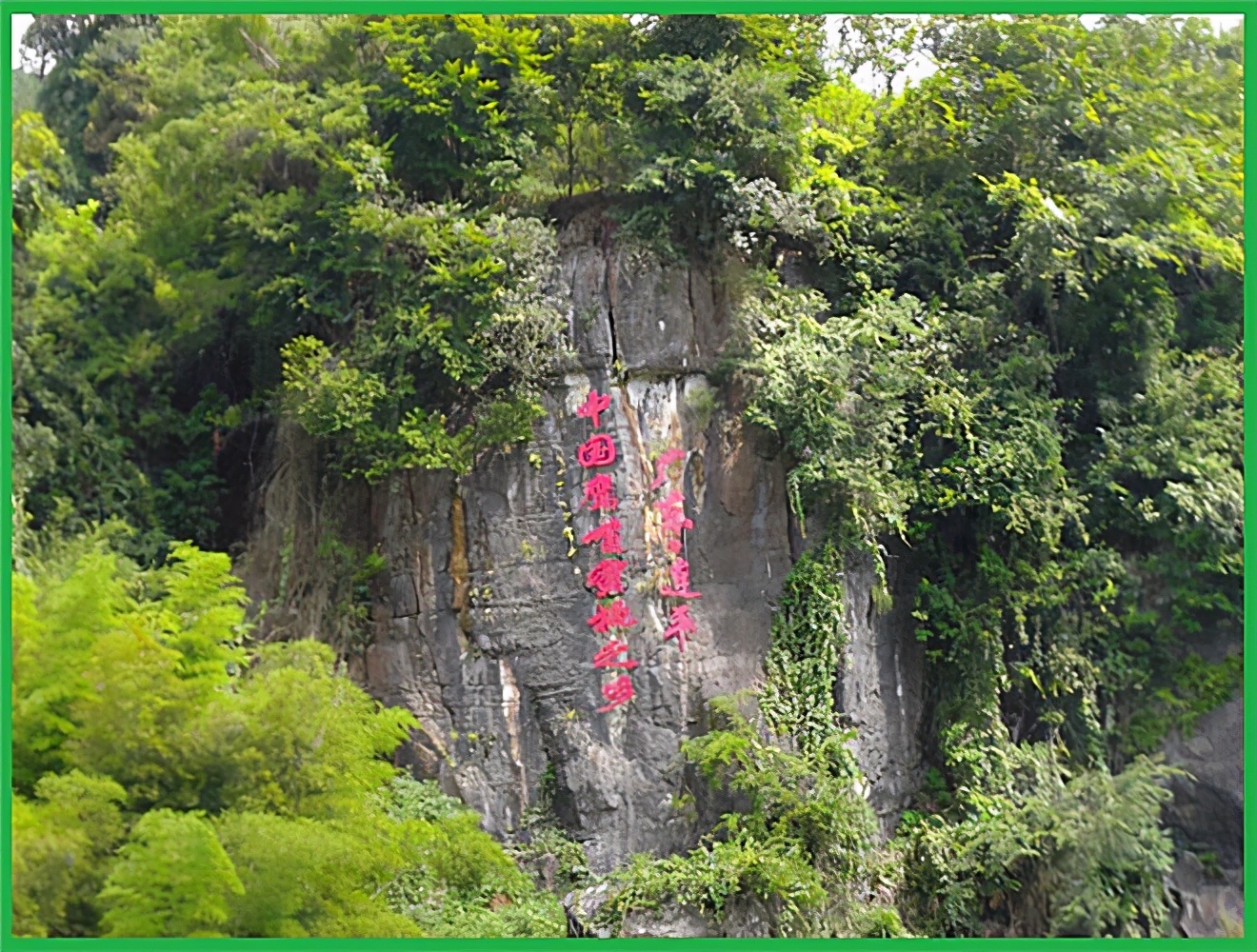 繁花似锦，似烟如霞，“中国蜜桃之乡”连平，花期还在，等你等你