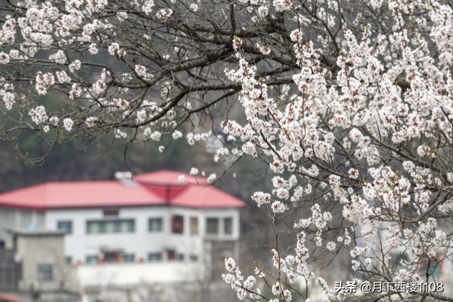 湖南省常宁市发展前景,湖南常宁最新发展