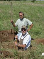 博力汉姆橄榄陨石特征,brenham橄榄陨铁