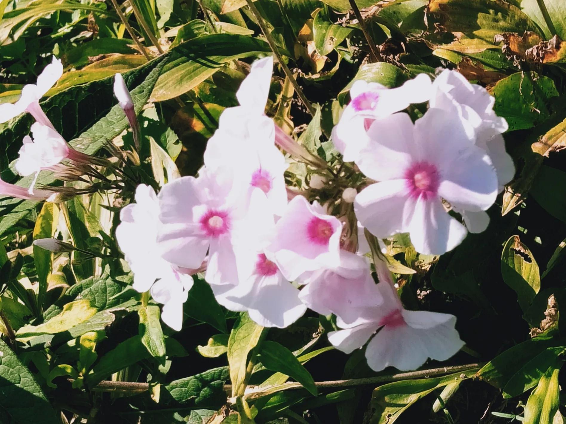 天坛公园内的科普园位置,天坛公园和国家自然博物馆