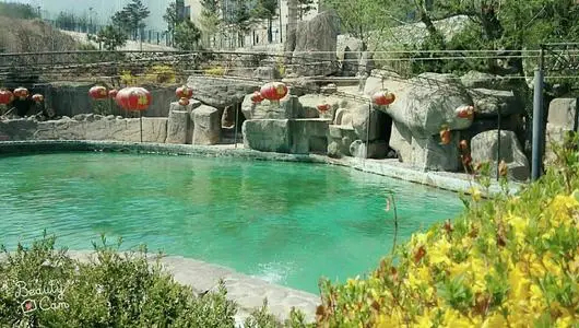 辽宁温泉民宿排行榜,辽宁温泉排名前十名