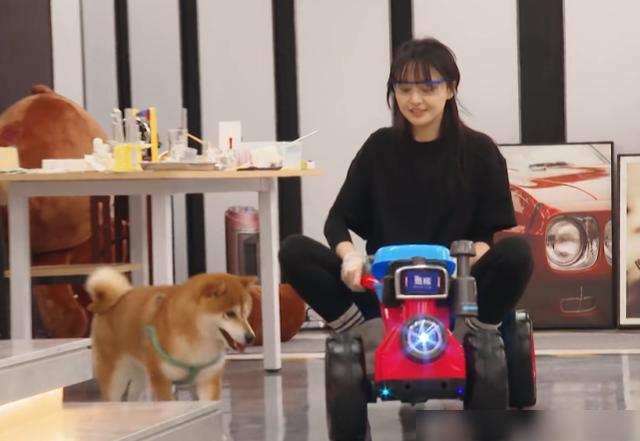 30块便当找张恒报销1000元！身家过亿又如何，郑爽照样贪财