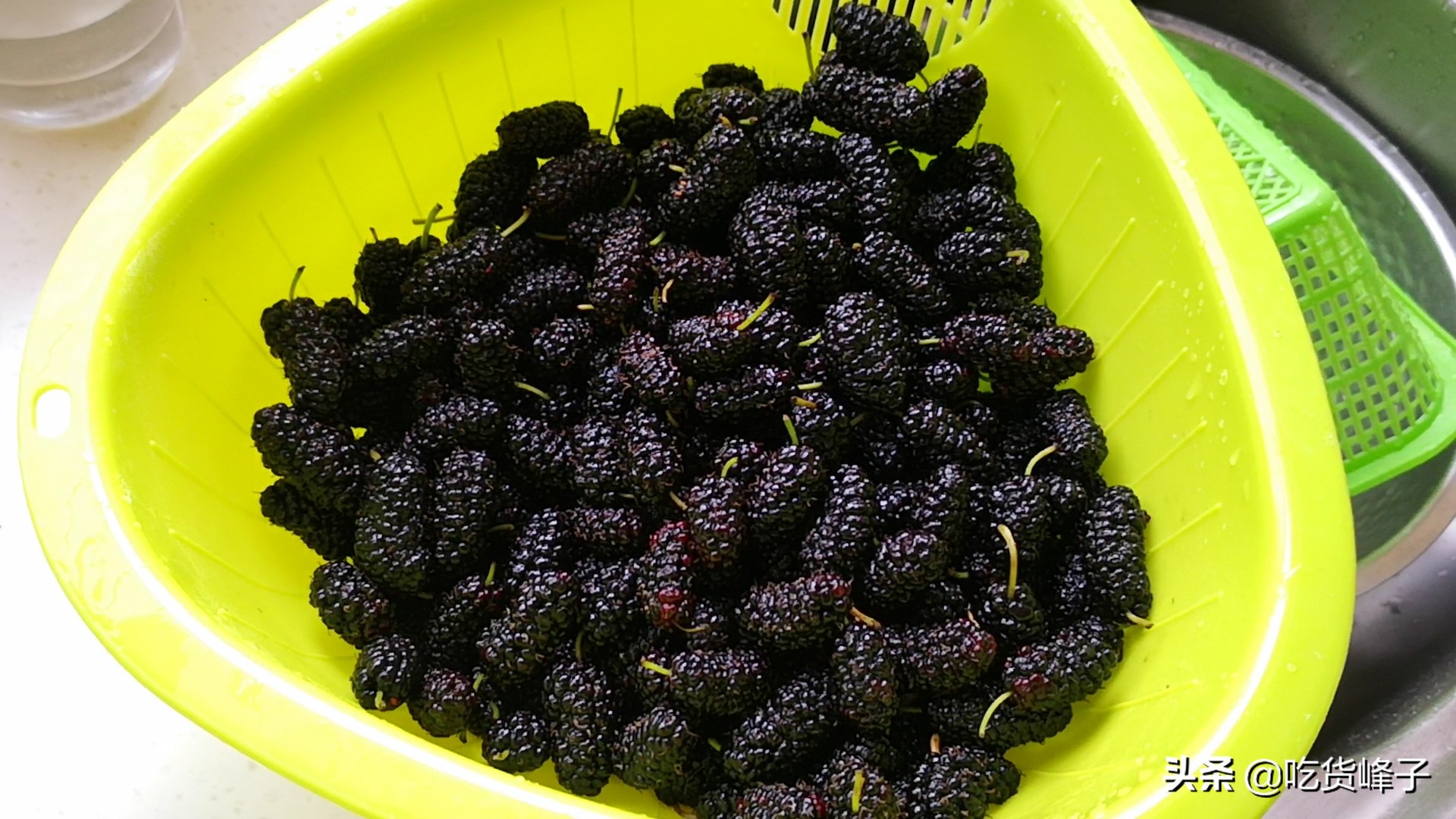 吃桑葚怎么洗才没有虫子,只用清水洗桑葚