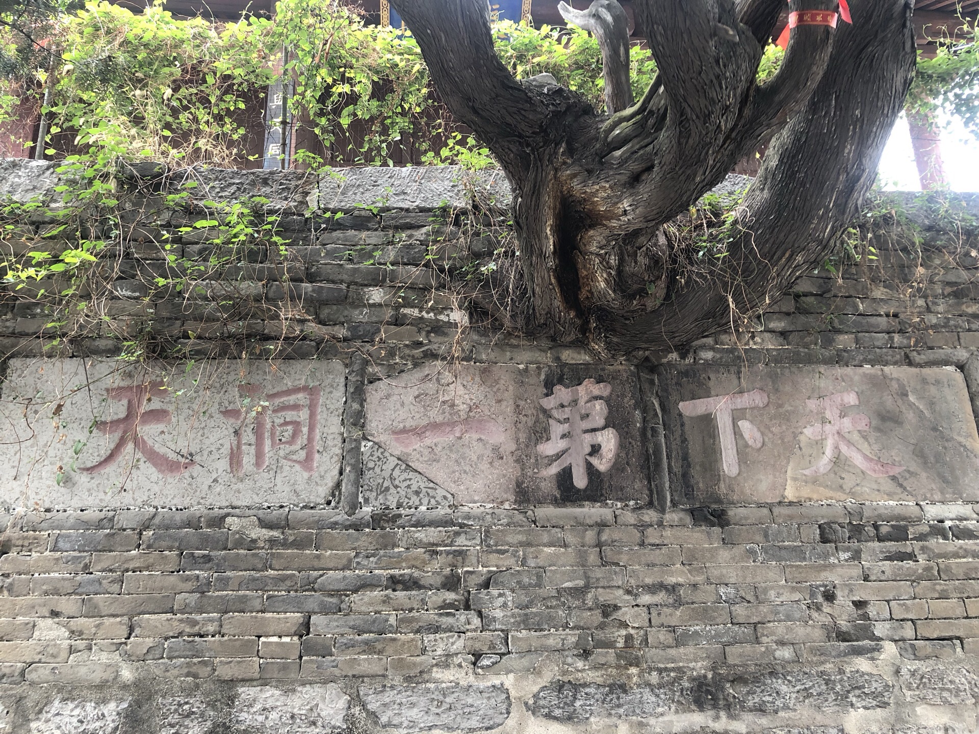 河南济源旅游景点地图,河南济源市有什么景区