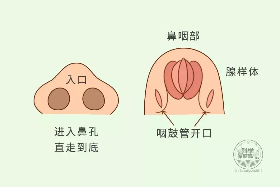 孩子鼻塞严重像打鼾怎么办,孩子鼻塞打鼾怎么缓解
